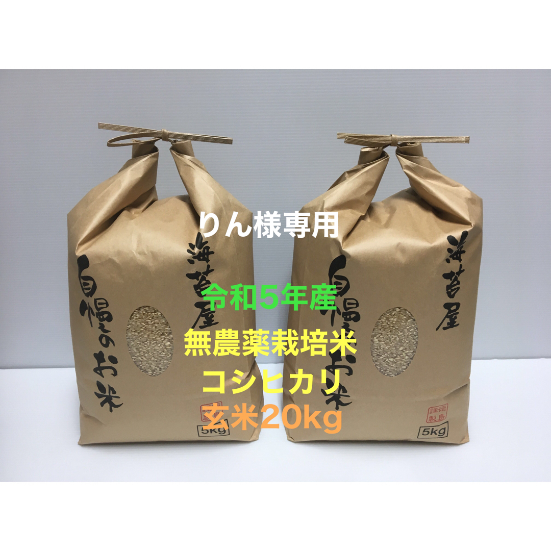 りん様専用 無農薬コシヒカリ玄米20kg(5kg×4)令和5年産 食品/飲料/酒の食品(米/穀物)の商品写真