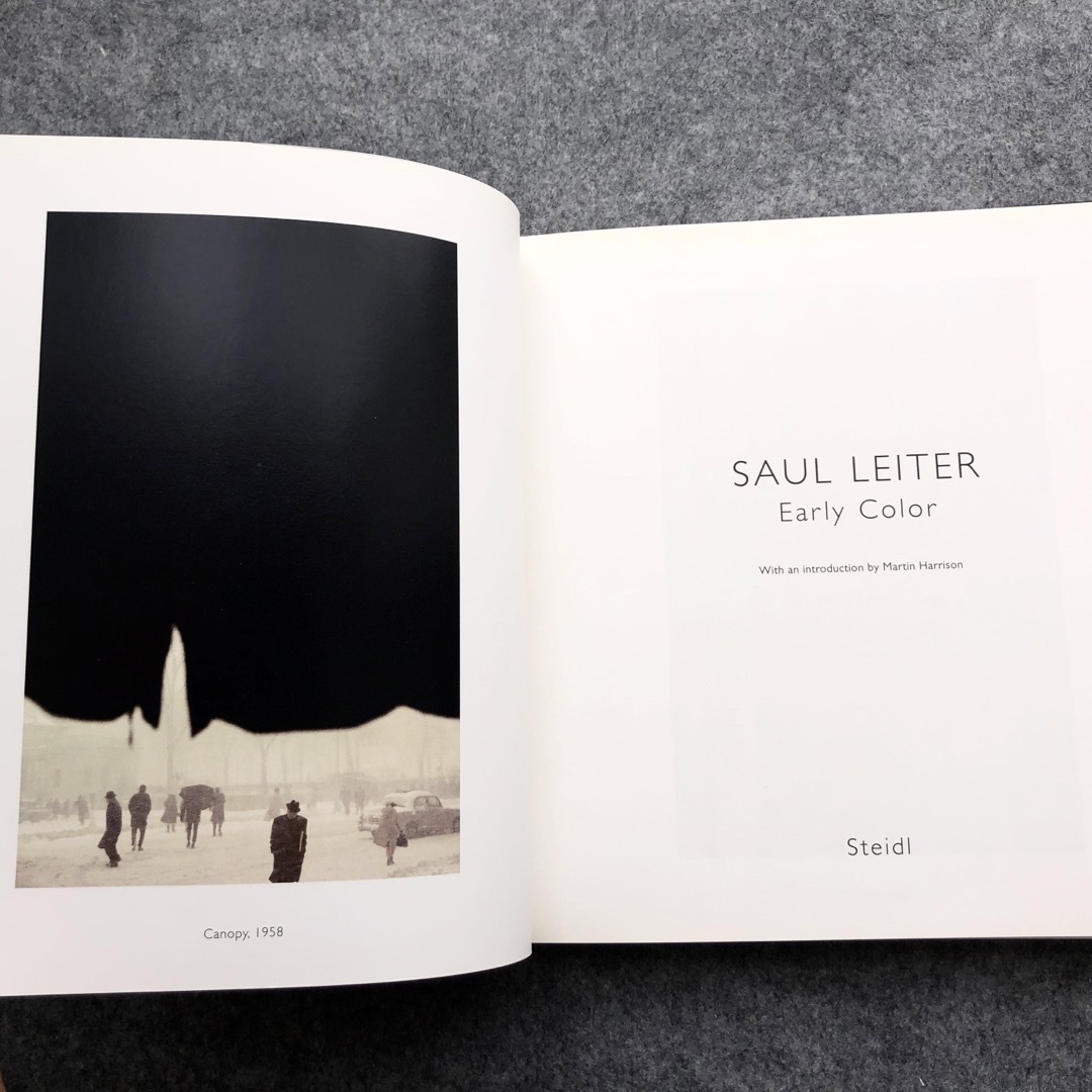 ソール・ライター 写真集「Early Color / Saul Leiter」 エンタメ/ホビーの本(洋書)の商品写真