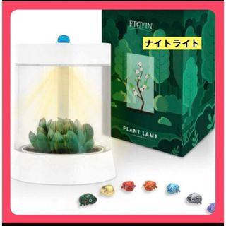 未開封品 DAIKO ライト LED LZA-91297 白 12個入り 電球の通販 by ユキ