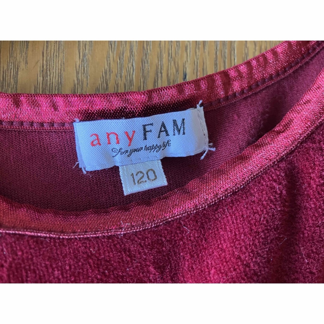 anyFAM(エニィファム)のドレス120 赤　発表会 キッズ/ベビー/マタニティのキッズ服女の子用(90cm~)(ドレス/フォーマル)の商品写真