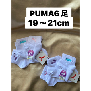 プーマ(PUMA)の新品　ソックス(靴下/タイツ)