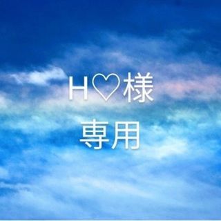 H♡様専用(その他)