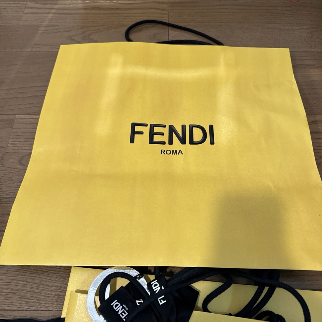 FENDI(フェンディ)のフェンディ紙袋ショッパーショップ袋6枚 レディースのバッグ(ショップ袋)の商品写真