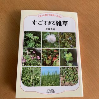 すごすぎる雑草(その他)