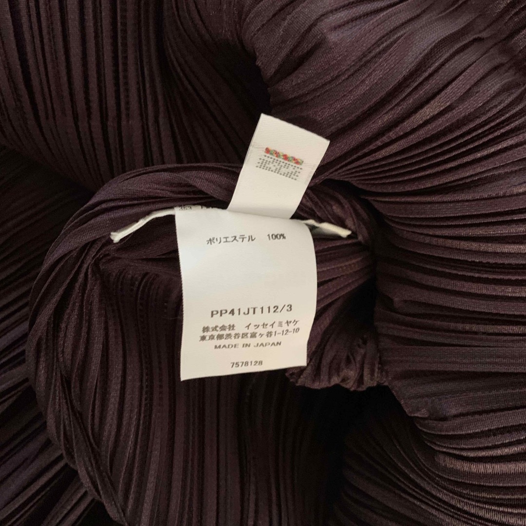 PLEATS PLEASE ISSEY MIYAKE(プリーツプリーズイッセイミヤケ)のプリーツプリーズMONTHLY COLORS  DARK PURPLE レディースのトップス(チュニック)の商品写真