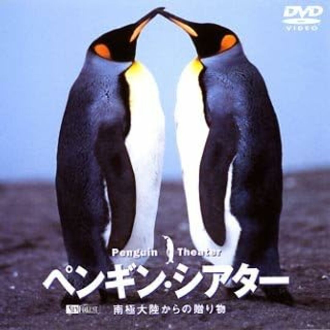 【中古】ペンギン・シアター 南極大陸からの贈り物 Penguin Theater [DVD]（帯なし） エンタメ/ホビーのCD(その他)の商品写真