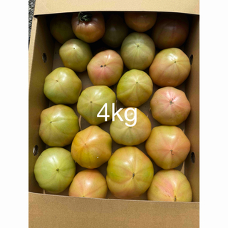 規格外トマト4kg(野菜)