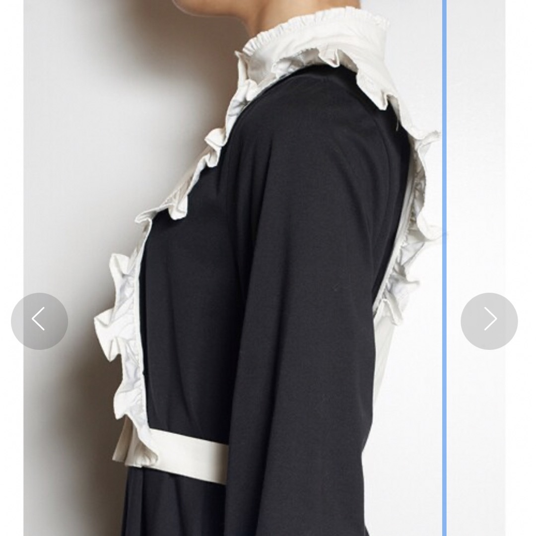 PAMEO POSE(パメオポーズ)のPAMEO POSE TIE SIDE COLLAR つけ襟 レディースのアクセサリー(つけ襟)の商品写真