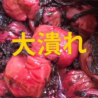 大潰れ　南高梅 紫蘇漬け 梅干し 900g(漬物)