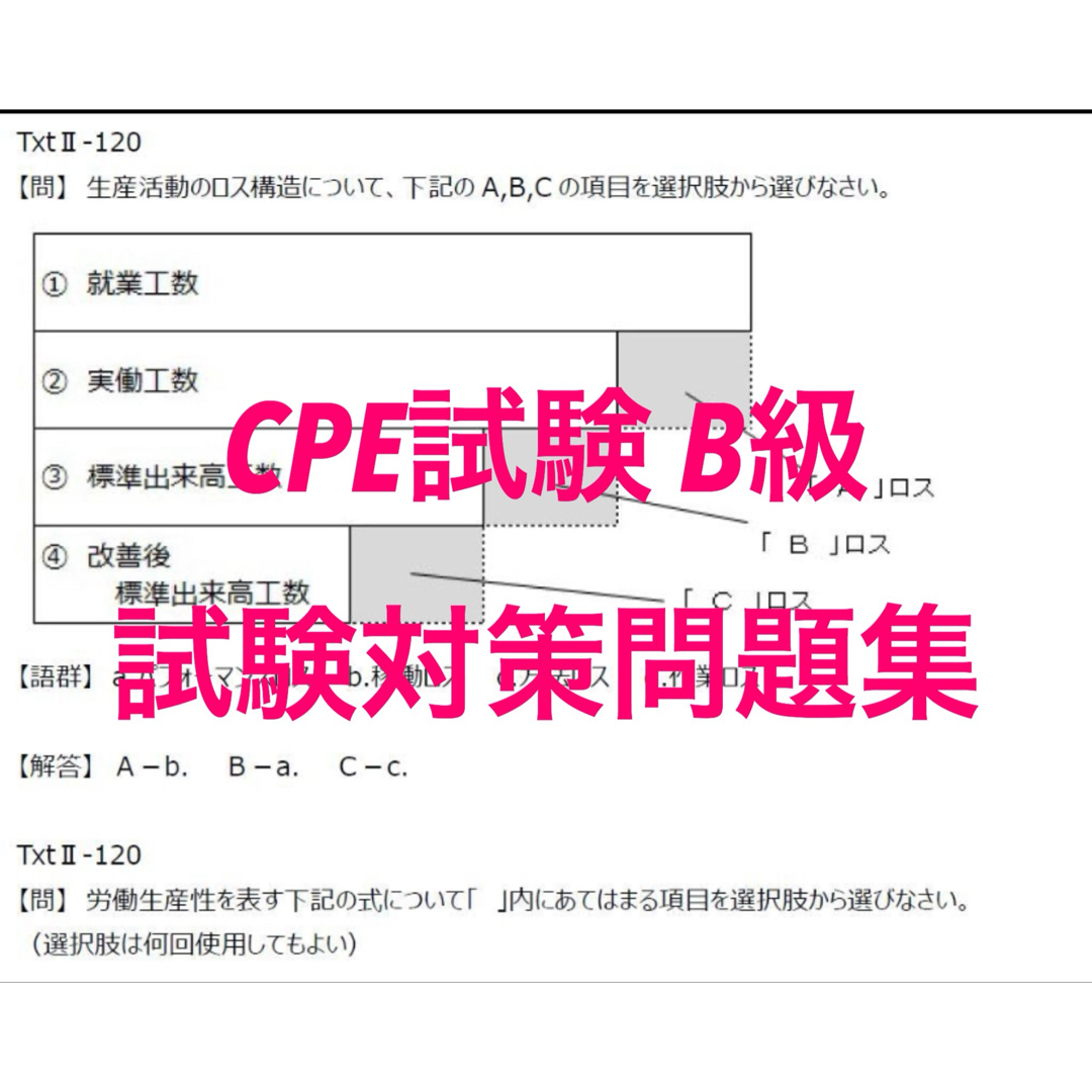 【CPE試験‐B級】　想定問題集90問 エンタメ/ホビーの本(資格/検定)の商品写真