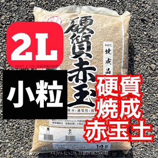 焼成 硬質赤玉土 2L 多肉植物 サボテン  塊根植物　観葉植物　小粒AAA(その他)