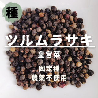 【種】ツルムラサキ　皇宮菜　無農薬　70粒(野菜)