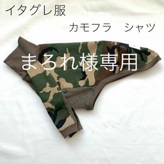 まろれ様専用　イタグレ服　ベージュグリーン カモフラシャツ　セミオーダー　3点(ペット服/アクセサリー)