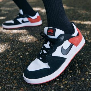 ナイキ(NIKE)のナイキ SB アリウープ スケートボードシューズnike スニーカー ユニセック(スニーカー)