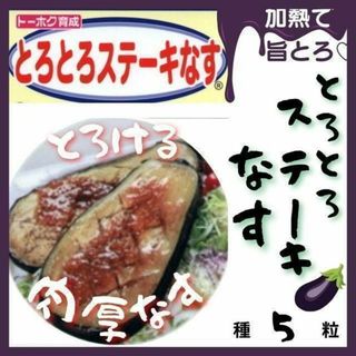 【野菜の種】加熱でとろける♡大型の美味しいナス「とろとろステーキなす」種５粒(野菜)