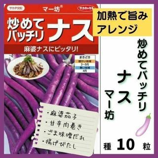 【野菜の種】ふわっと肉質、炒めてバッチリなす「マー坊」種１０粒(野菜)