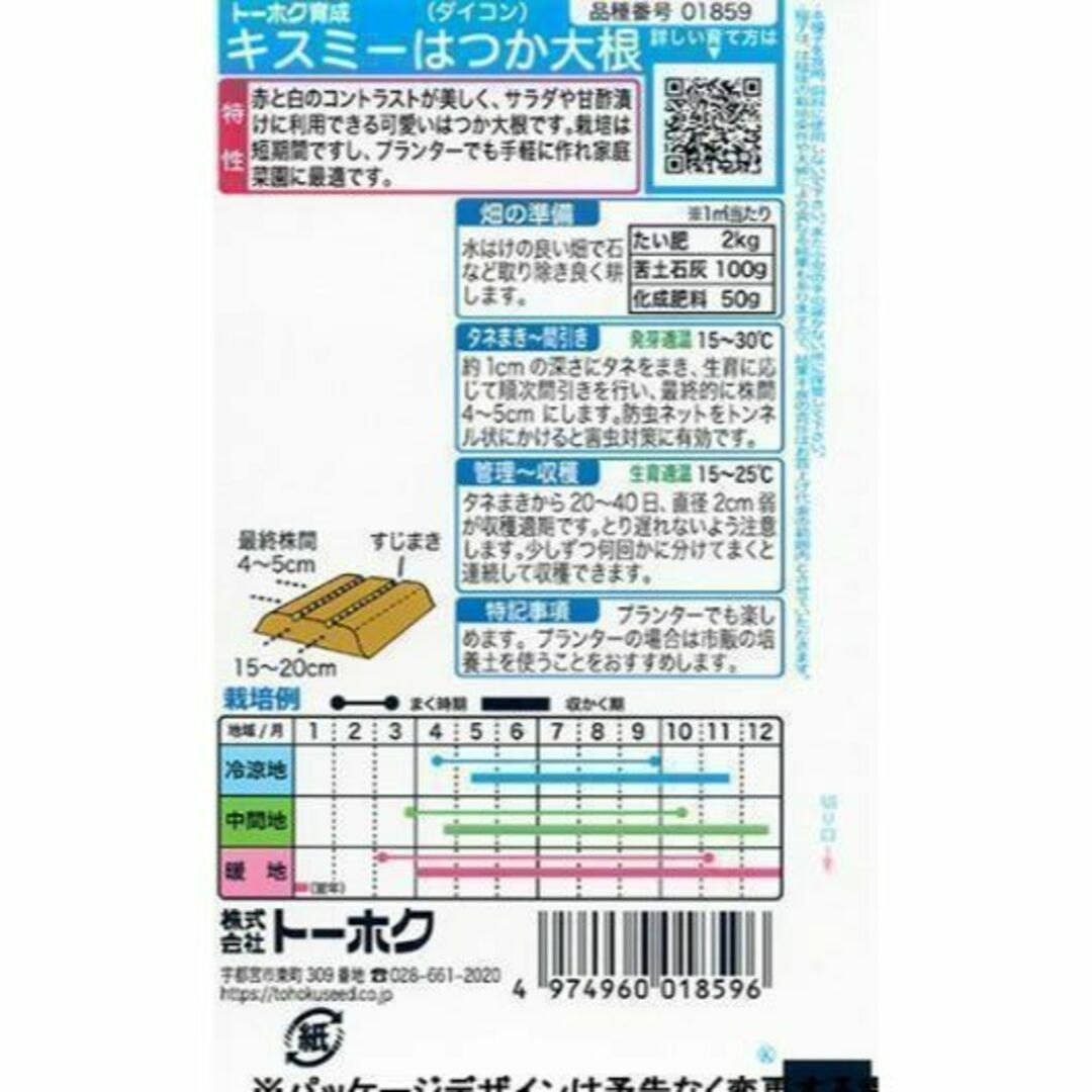 【野菜の種】赤白コントラストが可愛いミニ大根「キスミー」種５０粒～収穫約２０日～ 食品/飲料/酒の食品(野菜)の商品写真