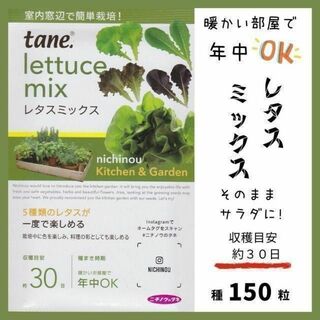 【野菜の種】年中栽培OK「レタスミックス」約３０日～収穫　キッチンガーデン(野菜)