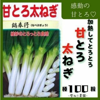 【野菜の種】甘くて太くてとろける！「甘とろ太ねぎ」種１００粒～(野菜)