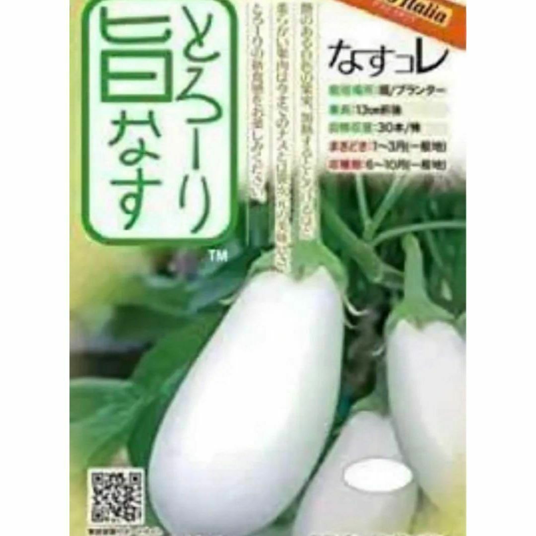 【野菜の種・茄子の種】柔らかとろ旨♡美味しい白ナス「とろ～り旨なす」種１０粒 食品/飲料/酒の食品(野菜)の商品写真