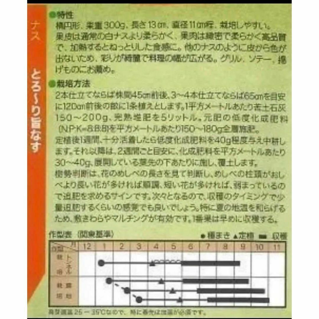 【野菜の種・茄子の種】柔らかとろ旨♡美味しい白ナス「とろ～り旨なす」種１０粒 食品/飲料/酒の食品(野菜)の商品写真