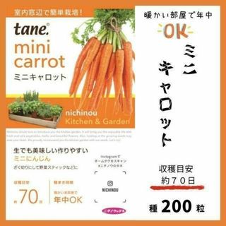 【野菜の種】年中栽培OK「ミニキャロット」約７０日～収穫　キッチンガーデン(野菜)