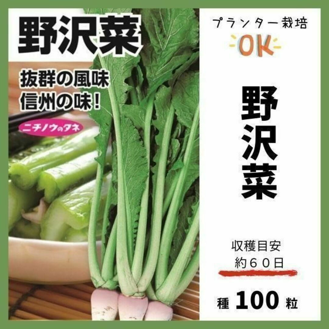 【野菜の種】抜群においしい漬物菜の定番品種「野沢菜」収穫約６０日～種１００粒 食品/飲料/酒の食品(野菜)の商品写真