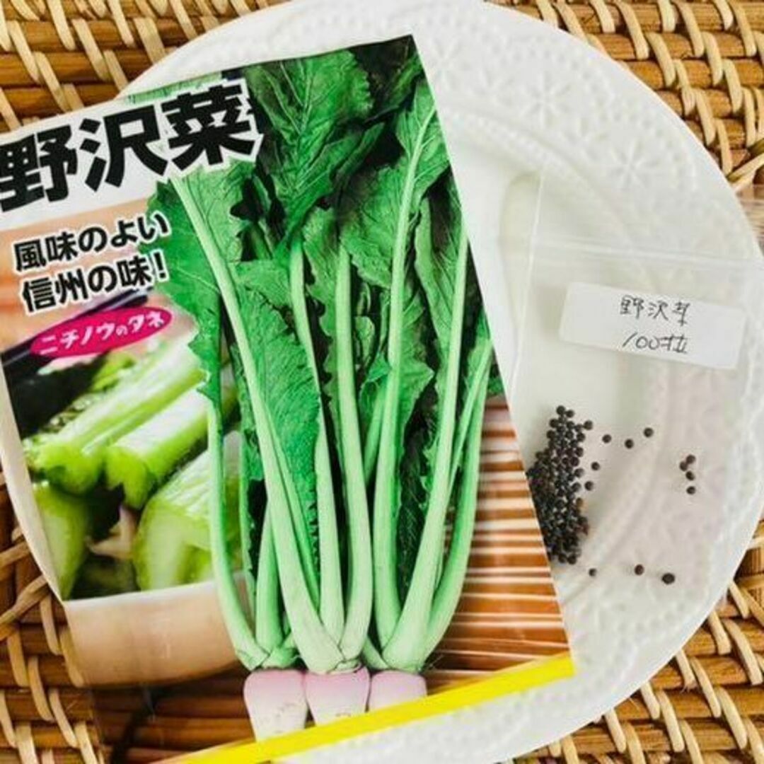 【野菜の種】抜群においしい漬物菜の定番品種「野沢菜」収穫約６０日～種１００粒 食品/飲料/酒の食品(野菜)の商品写真