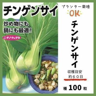 【野菜の種】炒め物や鍋に！「チンゲンサイ（青梗菜）」収穫約６０日～(野菜)