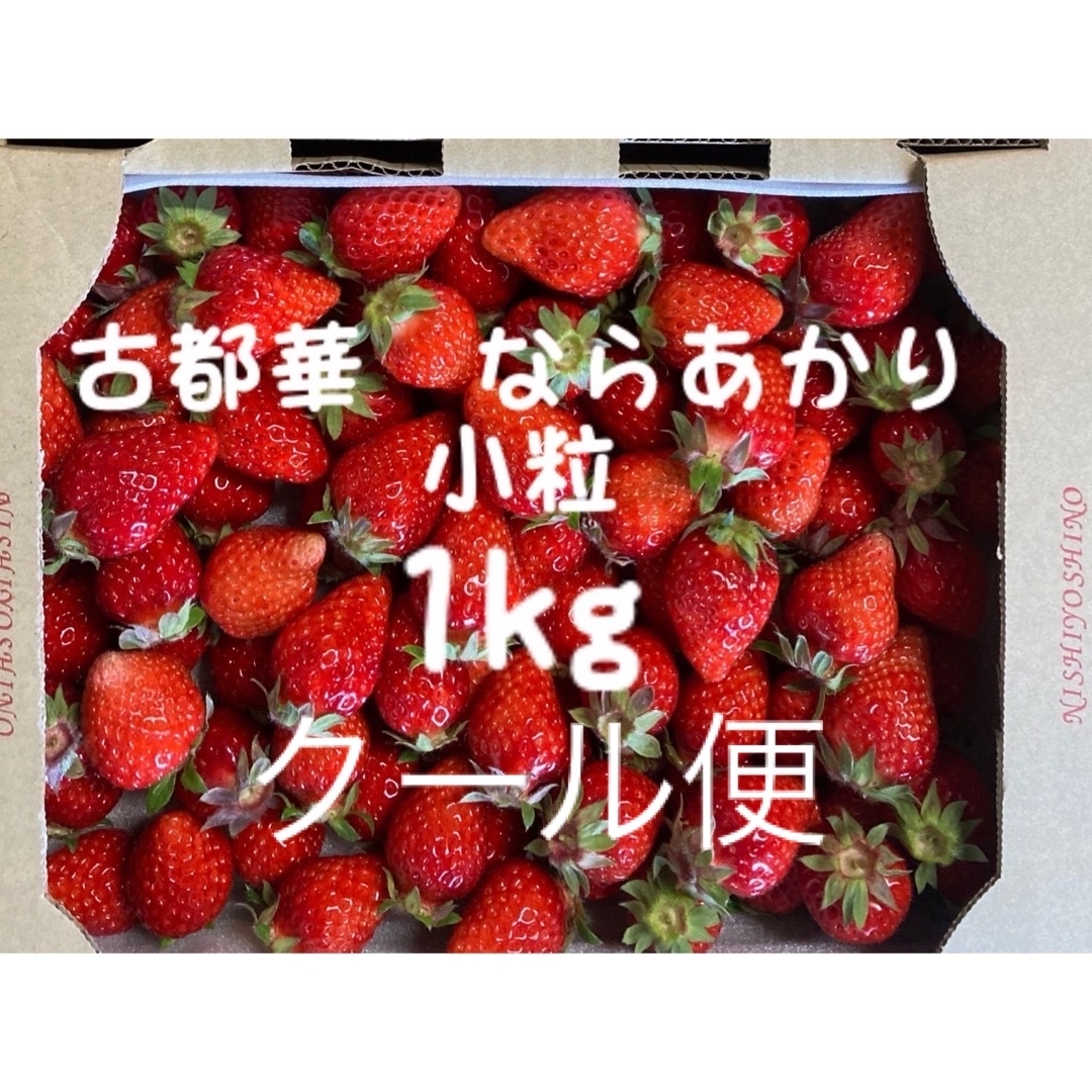 クール便　ならあかり　古都華　1kg 小粒　奈良県　農家直送　いちご　イチゴ　苺 食品/飲料/酒の食品(フルーツ)の商品写真