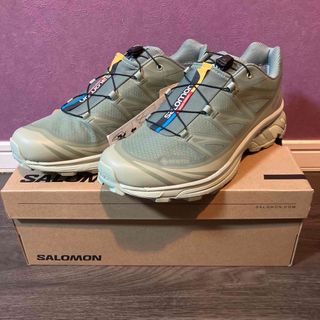 サロモン(SALOMON)のSALOMON XT-6 GORE-TEX "Laurel Wreath" 28(スニーカー)