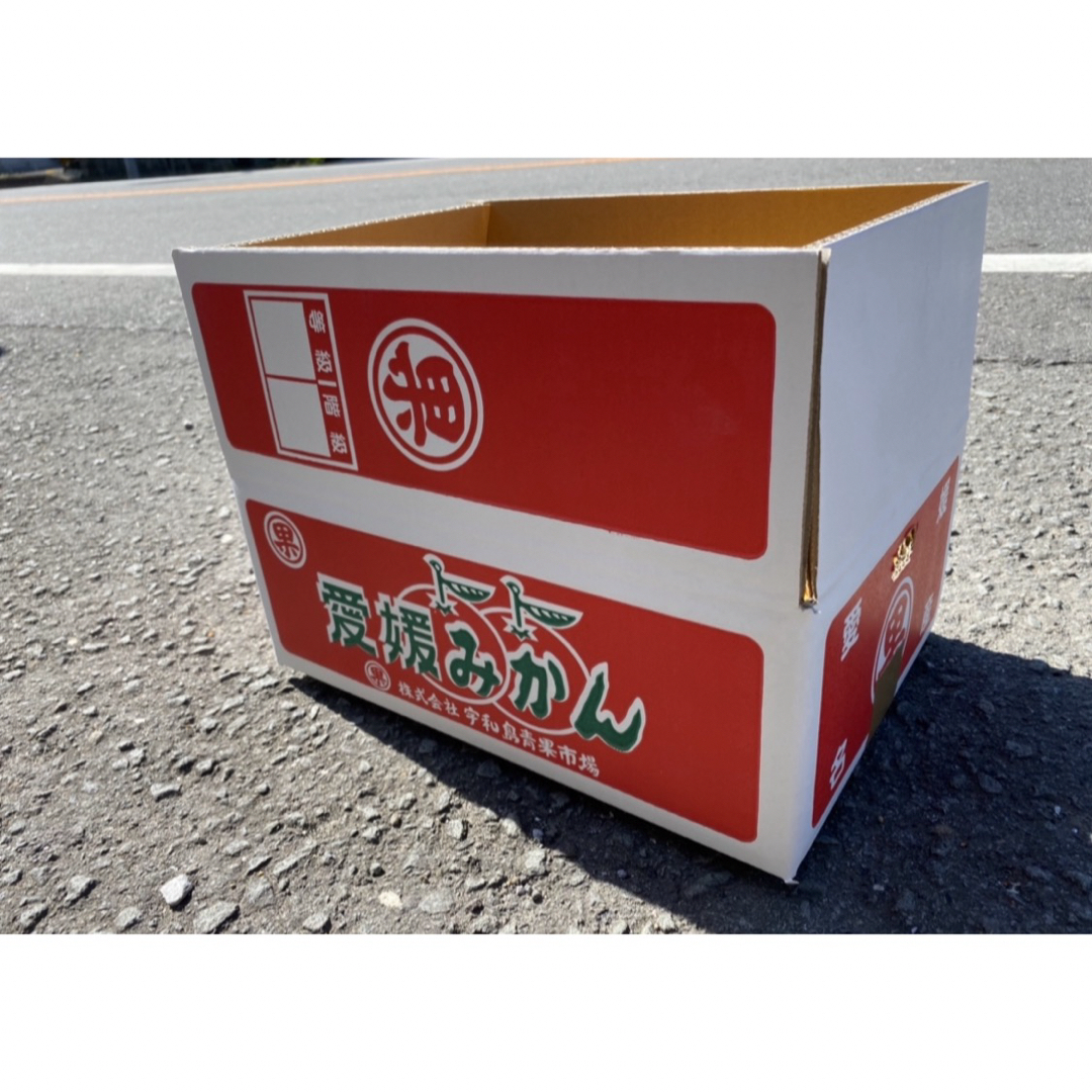 愛媛県産　ブラッドオレンジ　モロ　柑橘　5kg 食品/飲料/酒の食品(フルーツ)の商品写真
