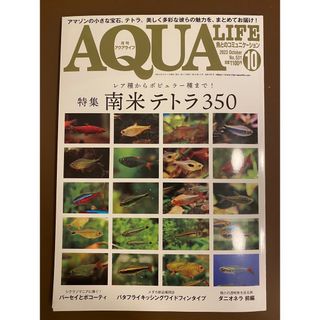 月刊 AQUA LIFE (アクアライフ) 2023年 10月号 [雑誌](その他)