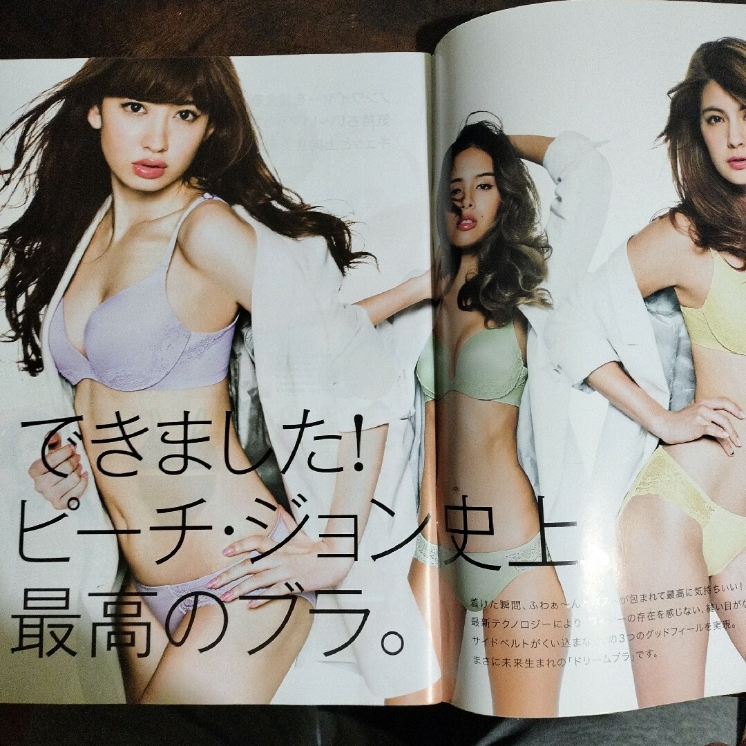 ピーチジョン　peach john カタログ　小嶋陽菜 エンタメ/ホビーの雑誌(ファッション)の商品写真