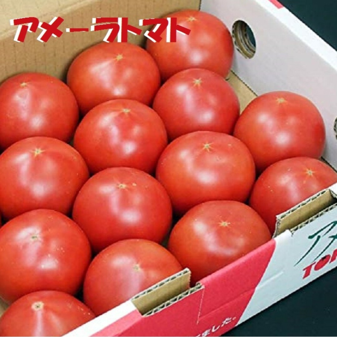 アメーラ アメーラトマト フルーツトマト トマト 野菜 市場直送 濃厚 高糖度 食品/飲料/酒の食品(野菜)の商品写真