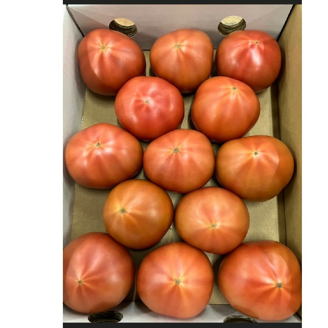 アメーラ アメーラトマト フルーツトマト トマト 野菜 市場直送 濃厚 高糖度 食品/飲料/酒の食品(野菜)の商品写真