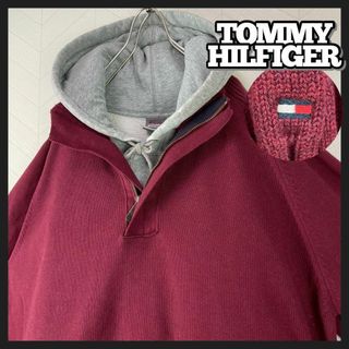 トミーヒルフィガー(TOMMY HILFIGER)のトミーヒルフィガー ハーフジップ ニット プルオーバー 袖刺繍ロゴ ゆるだぼ(ニット/セーター)