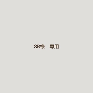 SR様　専用ページです(その他)