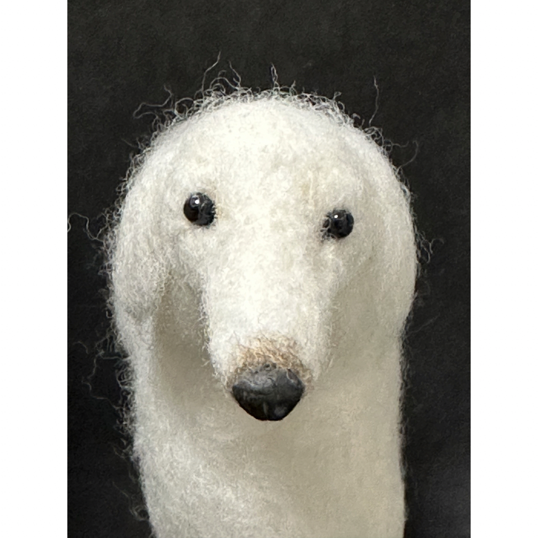 羊毛フェルト✴️ボルゾイ🐕 ハンドメイドのぬいぐるみ/人形(ぬいぐるみ)の商品写真