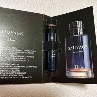 クリスチャンディオール(Christian Dior)のディオールソヴァージュ　オードパルファン(香水(男性用))