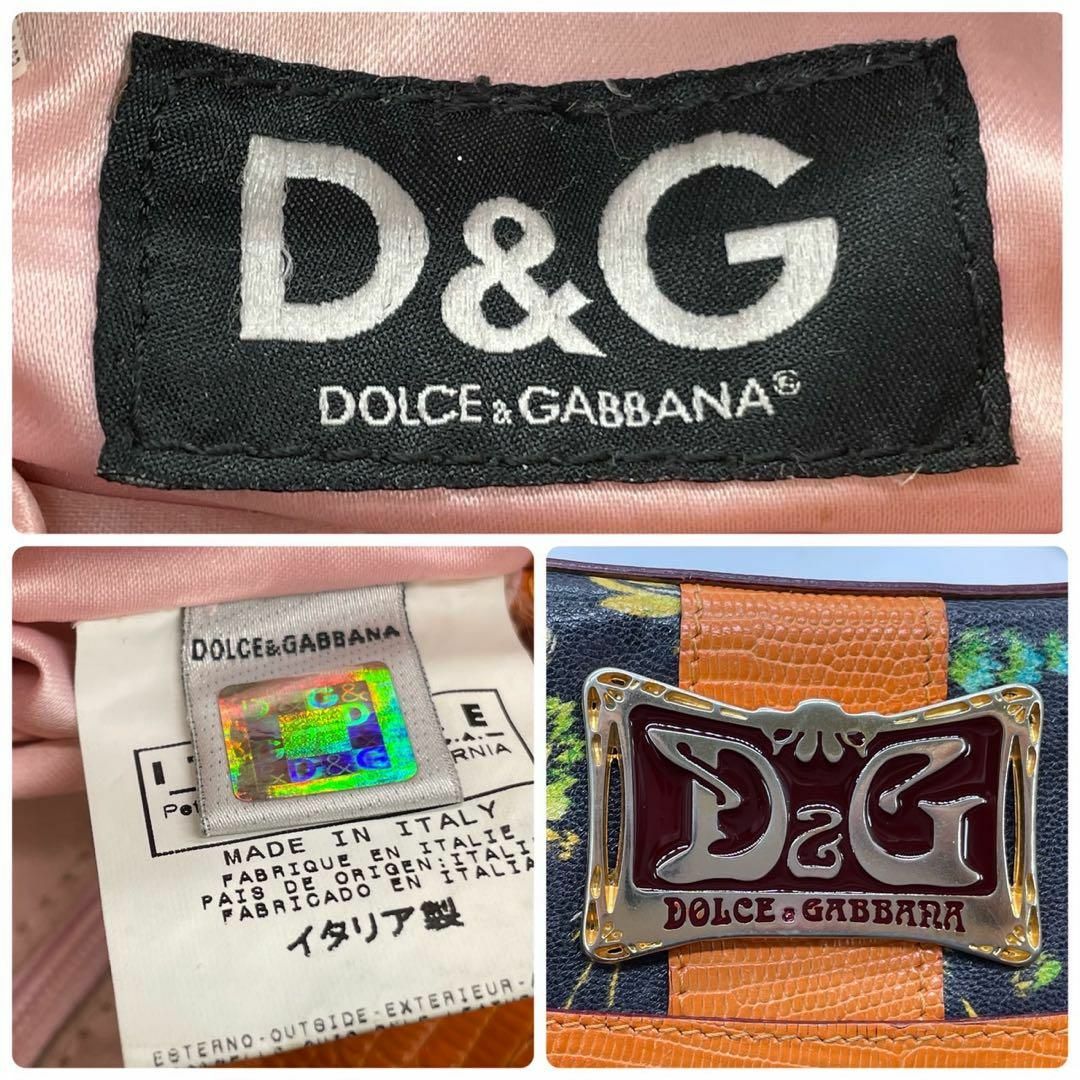 DOLCE&GABBANA(ドルチェアンドガッバーナ)の良品　ドルガバ　s53 肩掛け　ワンショルダーバッグ　スエード　リザードレザー レディースのバッグ(ショルダーバッグ)の商品写真