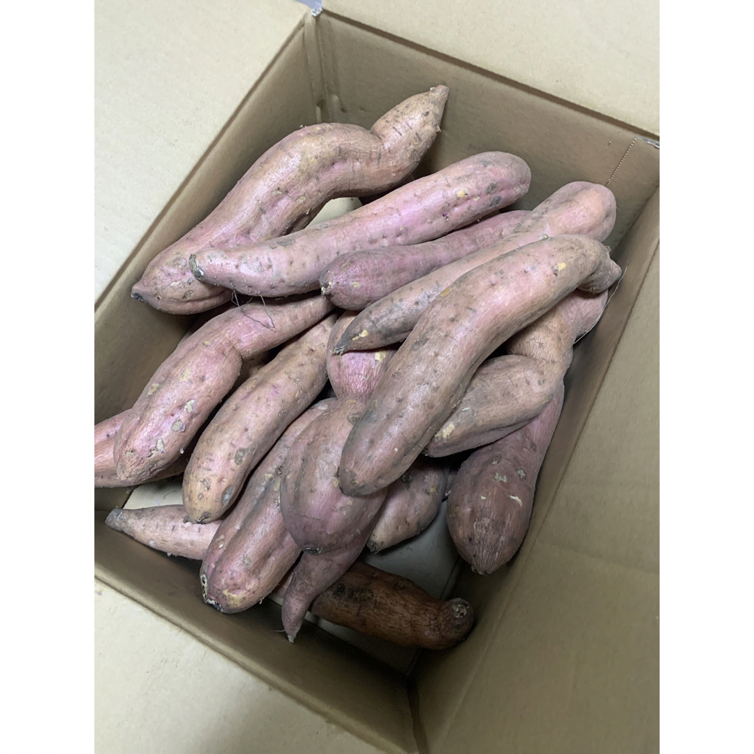 さつまいも 安納芋 訳あり 食品/飲料/酒の食品(野菜)の商品写真