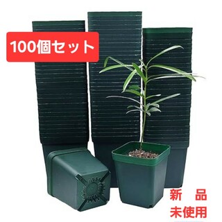 育苗ポット プランター 多肉植物 プラスチック製 100個 グリーン(プランター)