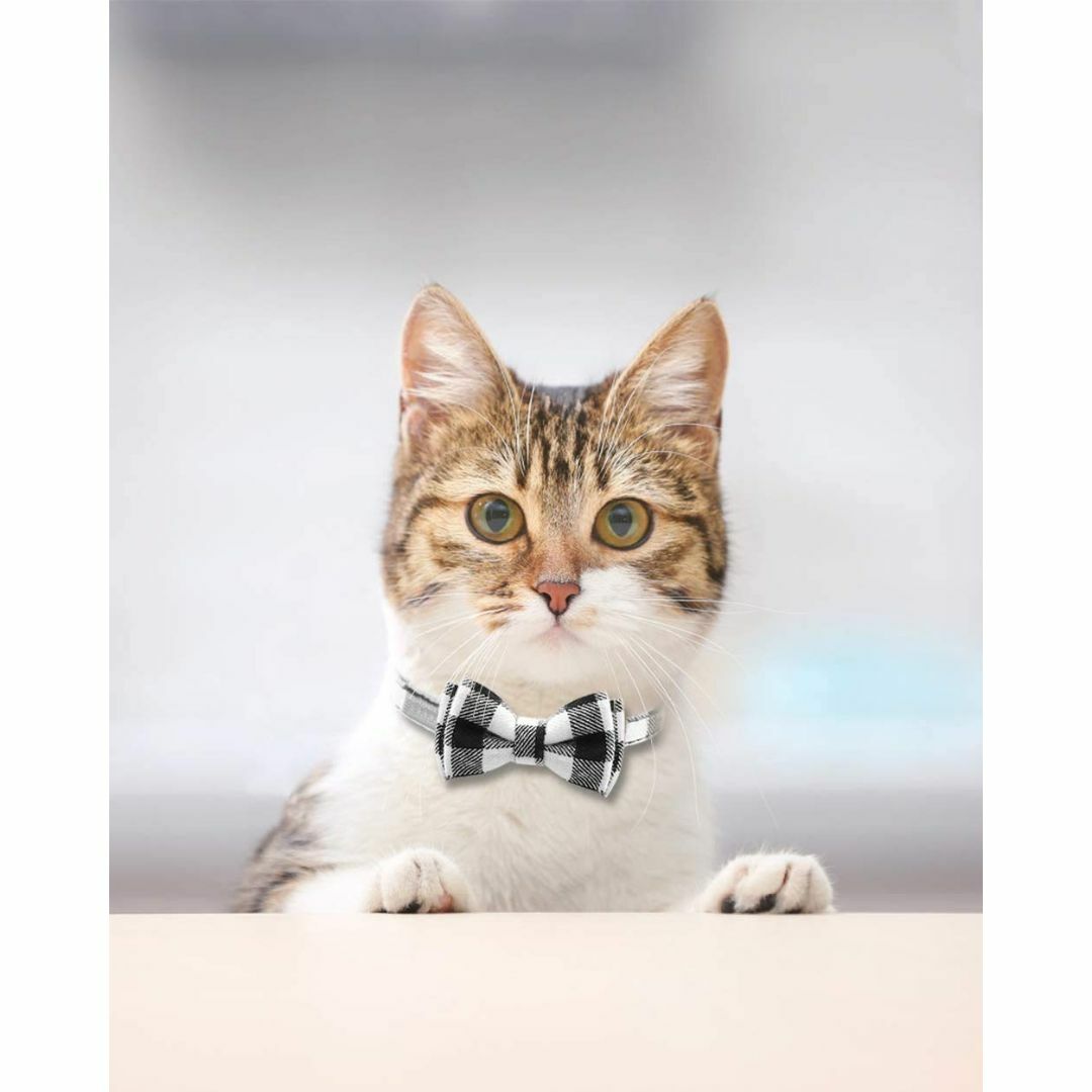 【色: ブラック+ブルー】猫首輪 猫用 首輪 子犬 迷子札付き リボン付き 鈴付 その他のペット用品(猫)の商品写真