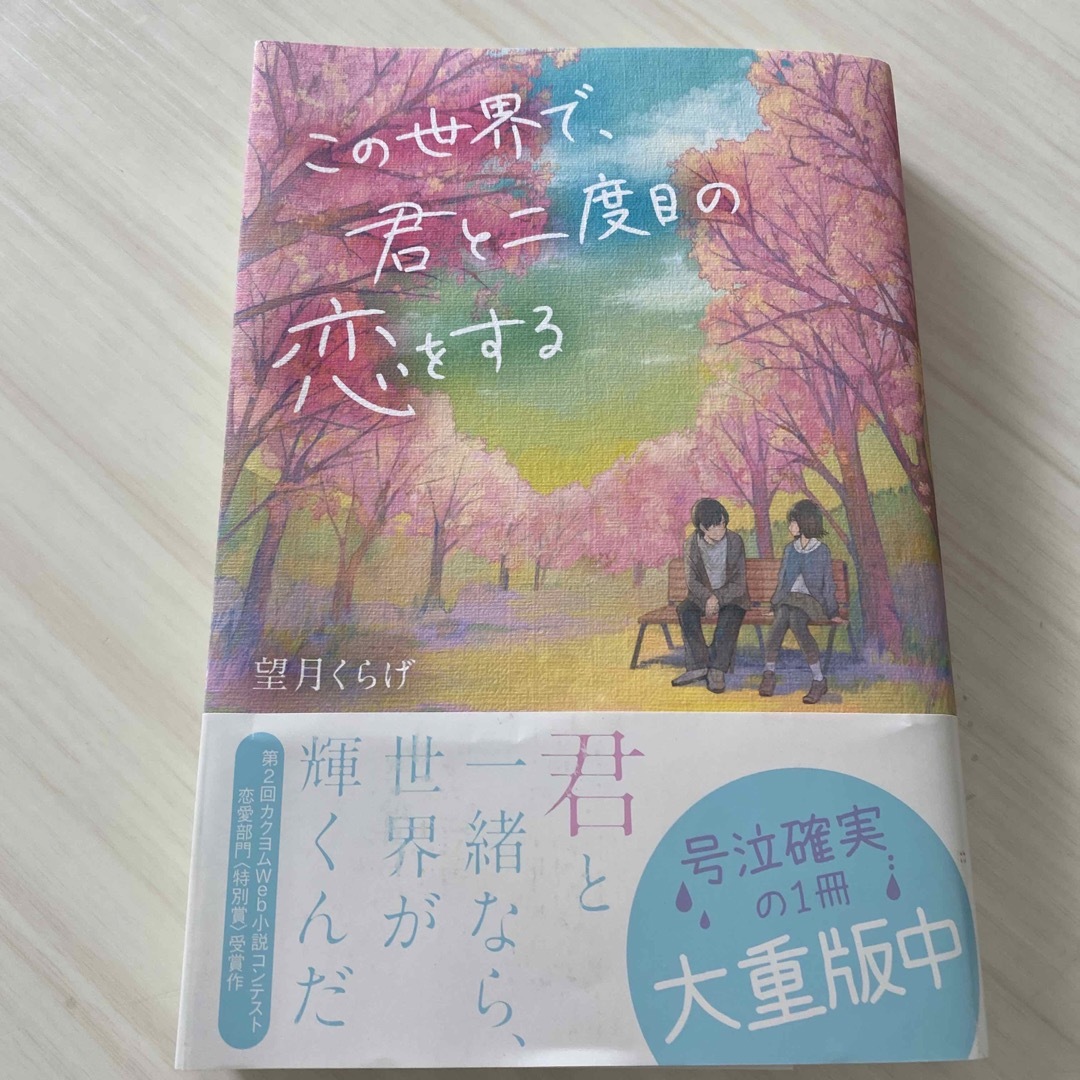 角川書店(カドカワショテン)のこの世界で、君と二度目の恋をする エンタメ/ホビーの本(文学/小説)の商品写真