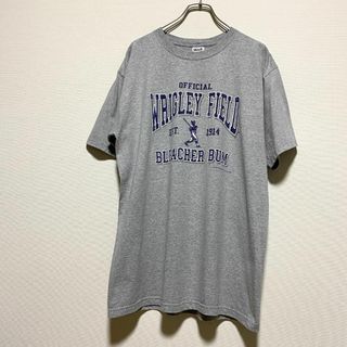 アンビル(Anvil)のアメリカ古着　リグレー・フィールド　MLB シカゴカブス　半袖Ｔシャツ　J577(Tシャツ/カットソー(半袖/袖なし))