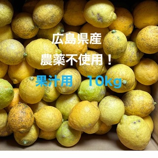 広島県産 果汁用 レモン 箱込約10kg(フルーツ)