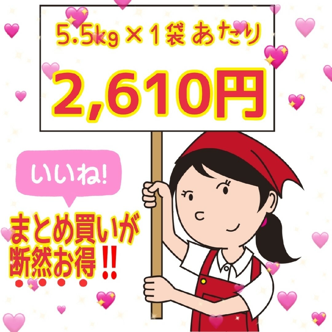 ☆新米☆令和５年産★青森県産はれわたり精白米★５kg×２袋★合計１０kg★送料込 食品/飲料/酒の食品(米/穀物)の商品写真