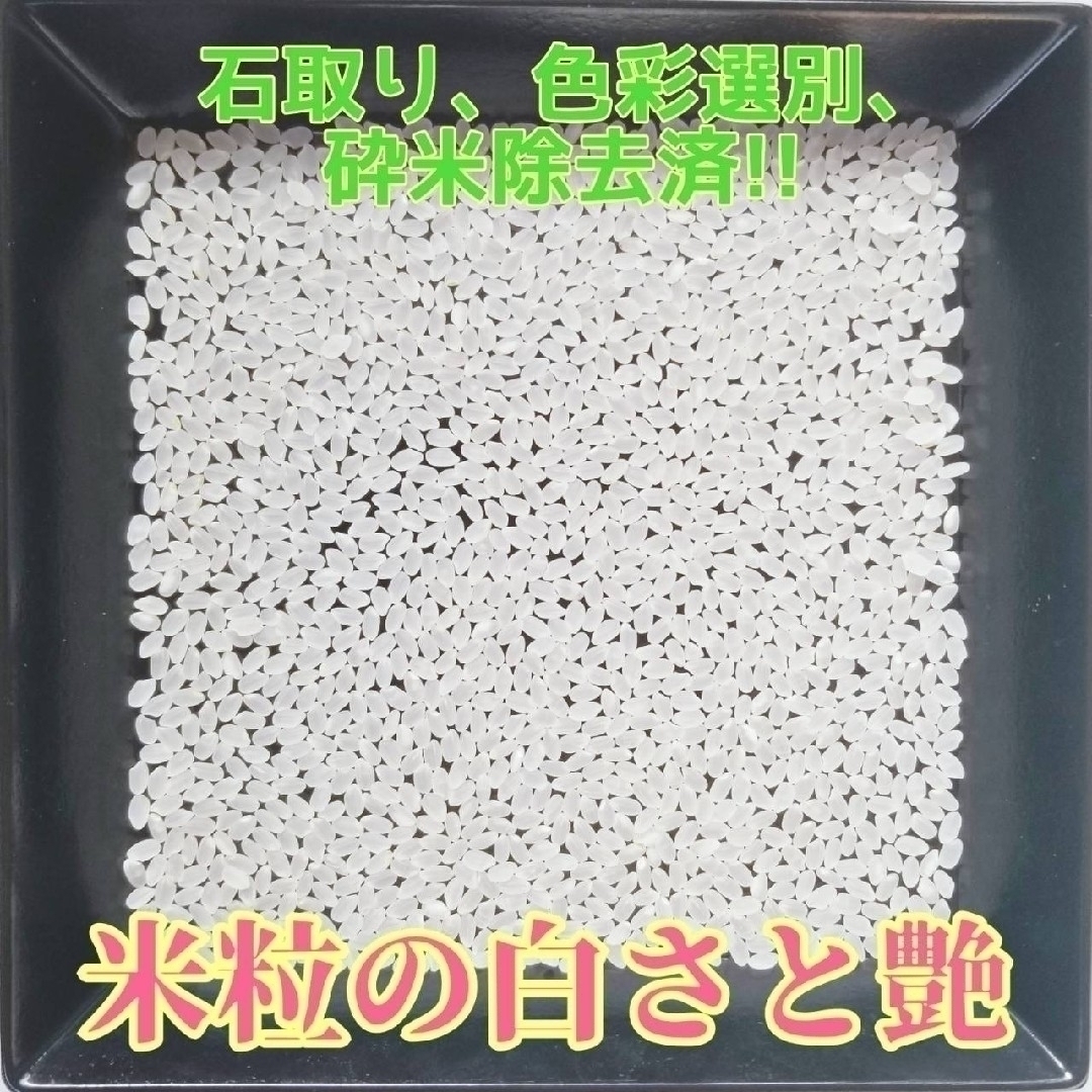 ☆新米☆令和５年産★青森県産はれわたり精白米★５kg×２袋★合計１０kg★送料込 食品/飲料/酒の食品(米/穀物)の商品写真