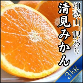 清見みかん 訳あり 3kg 和歌山県産 清見オレンジ 旬の果物(フルーツ)
